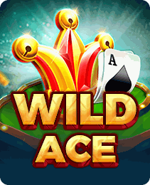 Wild Ace game in the Y1 App